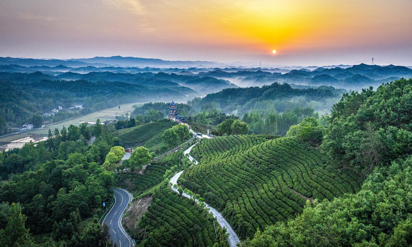 两座山一条路！“闵黑子”的二十年“共富”笔记(图3)